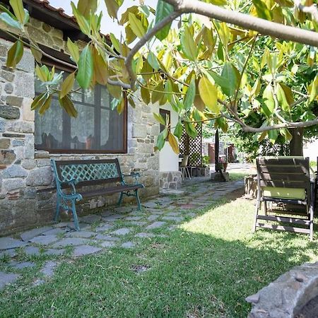 Traditionelles Appartement Athos Shadow Am Meer Paralia Sikias Exterior foto