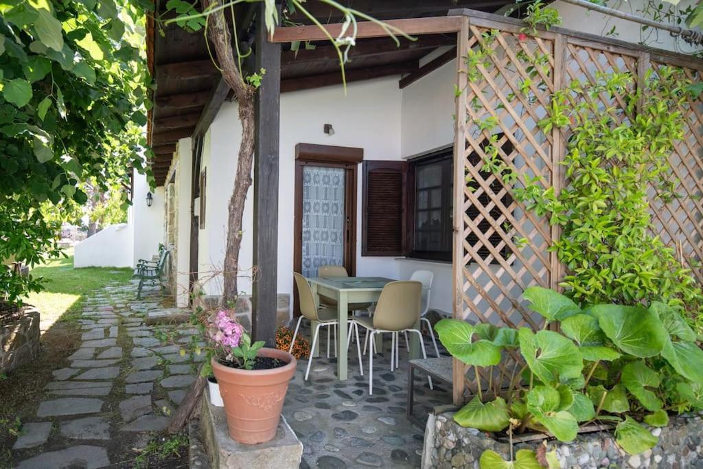 Traditionelles Appartement Athos Shadow Am Meer Paralia Sikias Exterior foto