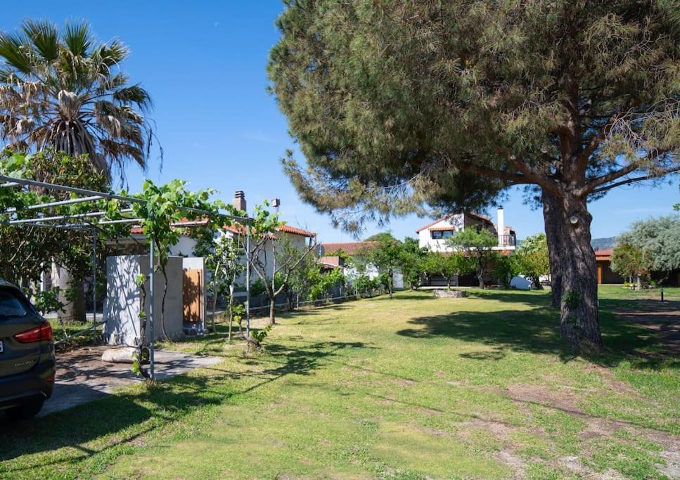 Traditionelles Appartement Athos Shadow Am Meer Paralia Sikias Exterior foto