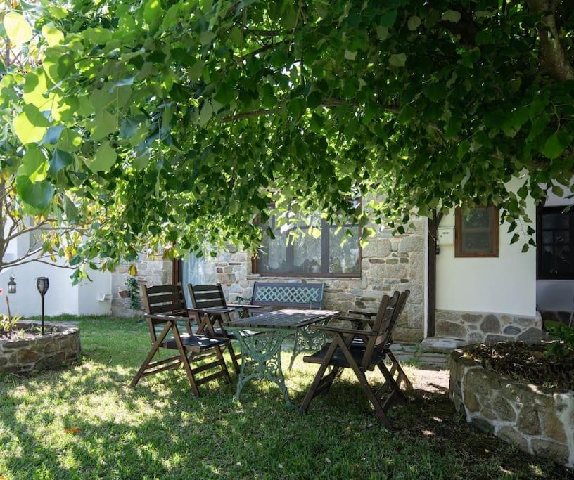Traditionelles Appartement Athos Shadow Am Meer Paralia Sikias Exterior foto