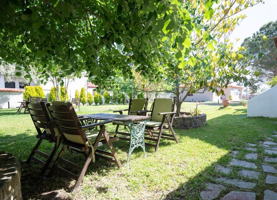 Traditionelles Appartement Athos Shadow Am Meer Paralia Sikias Exterior foto